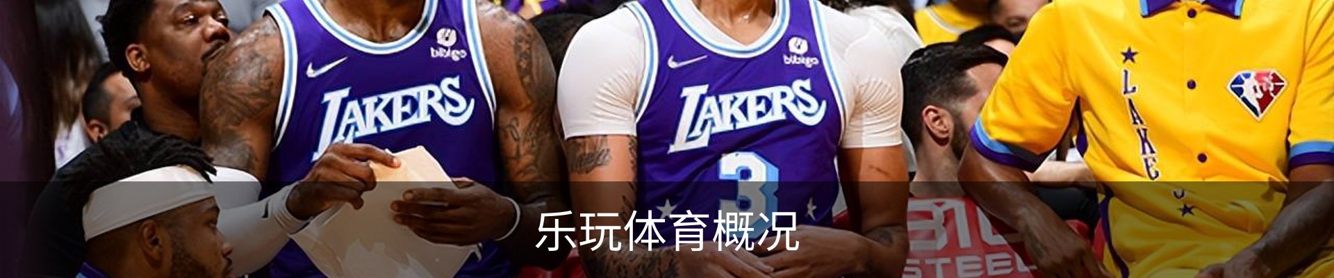乐玩体育概况